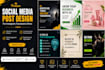 design professional advertisement posters