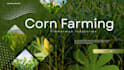 design a corn maze fall attraction summer prep pitch deck presentation