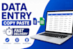 do data entry copy paste