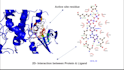 do molecular docking amdet and molecular dynamics simulation