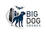 create a modern dog and drone mascot logo