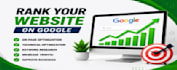 do professional SEO for your website