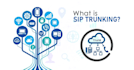 setup sip trunk, voip, 3cx, did number, caller id system