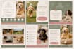 create branded instagram and facebook post designs
