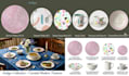 make professional ceramic dinnerware collection