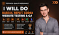 do base44 replit codex website testing qa user testing security web app security