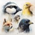 draw a scientific illustration