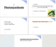 type notes, assignments, PDF to word and format documents