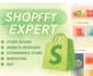 build a profitable shopify dropshhiping store