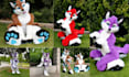 draw furry reference sheet fursona character anime and anthro manga comics