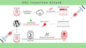 do an expert web security fix XSS, sqi injection, malware, botnet