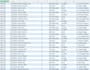 do expert excel data cleaning, formatting, and deduplication professionally