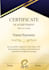 design professional certificate templates