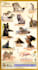 make infographic posters based on educational purpose