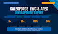 build salesforce agentforce ai and einstein ai custom CRM automation solutions