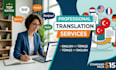 provide professional english to turkish