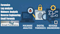 do malware analysis, log analysis and email forensics