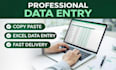 provide professional data entry and excel services