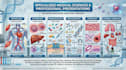 create professional medical powerpoint presentations