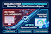 fix elementor issues, broken layouts, responsive issues and woocommerce errors
