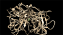 perform molecular docking and virtual screening for drug discovery