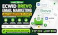 setup ecwid brevo email marketing automation flows for ecommerce payhip stores