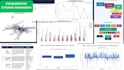 provide mixed methods research and statistical data analysis