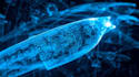create aerospace simulation cfd and aerodynamic solutions