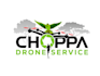 create a professional drone business logo design
