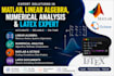 do professional matlab, latex and numerical analysis