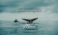 design professional social media quote posts in canva