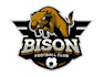 design best quality thy bison rocket league logo