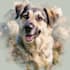 draw memorial pet portrait from photo