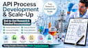provide organic process development for apis and intermediates