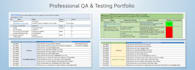 do QA manual testing and bug reporting for your website or app