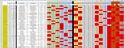 do web scraping python automation and expert excel dashboards
