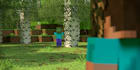 make minecraft blockbuster bbs animation for your videos