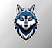 do a unique cartoon mascot logo