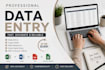 provide reliable data entry services