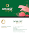 create custom crafted branded business cards