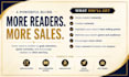write a compelling book blurb and book description