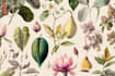 create flat landscape illustration of nature