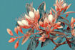 create a botanical illustration in the watercolor