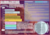 turn complex text into engaging infographic visuals
