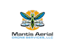 create a professional drone service logo design