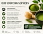 help you source matcha and food ingredients from china