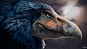 sculpt 3d creature or 3d model in blender