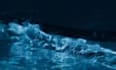 do 3d water simulation, fluid simulation, liquid simulaton, vfx water, 3d water