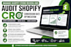 manage shopify store review and audit shopify cro conversion rate optimization
