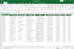 clean, format and organize excel data professionally